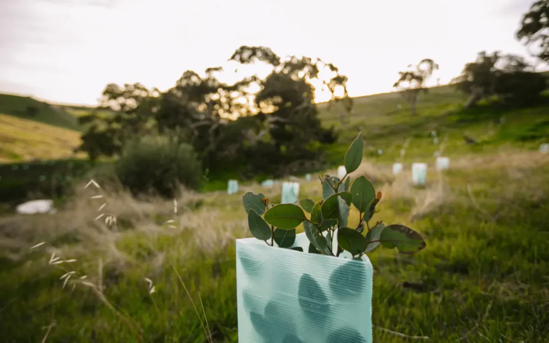 Supporting sustainability with the Forktree Project