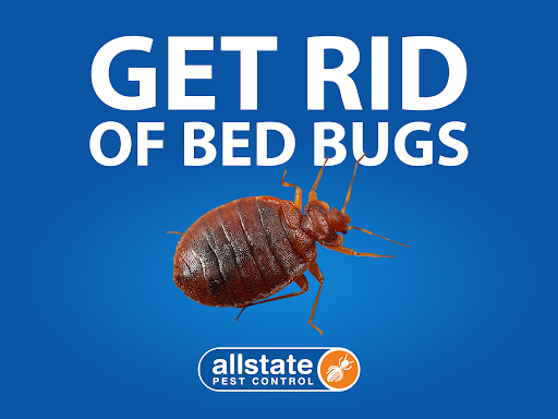Get rid of bed bugs with Allstate Pest Control