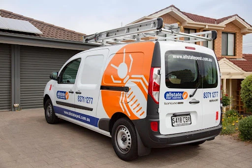 rat control adelaide service rat control adelaide service