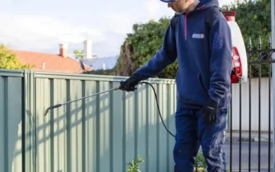 What Is the Best Season for Pest Control Services?